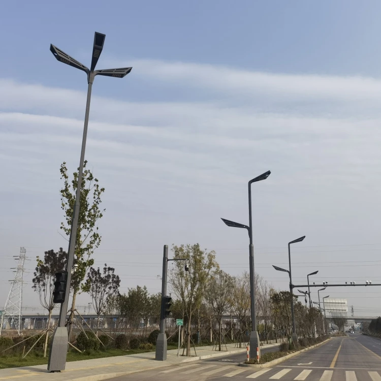 Black Street Light Pole
